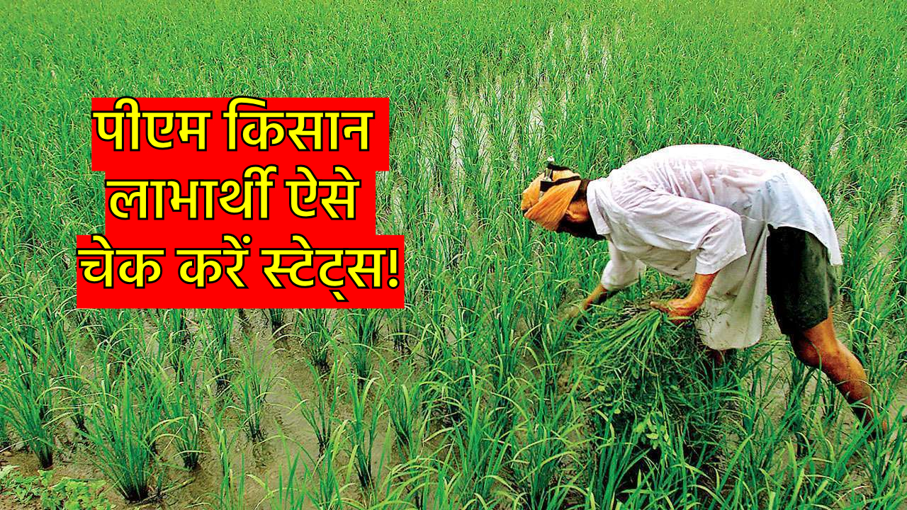 PM Kisan 18th Kist Status