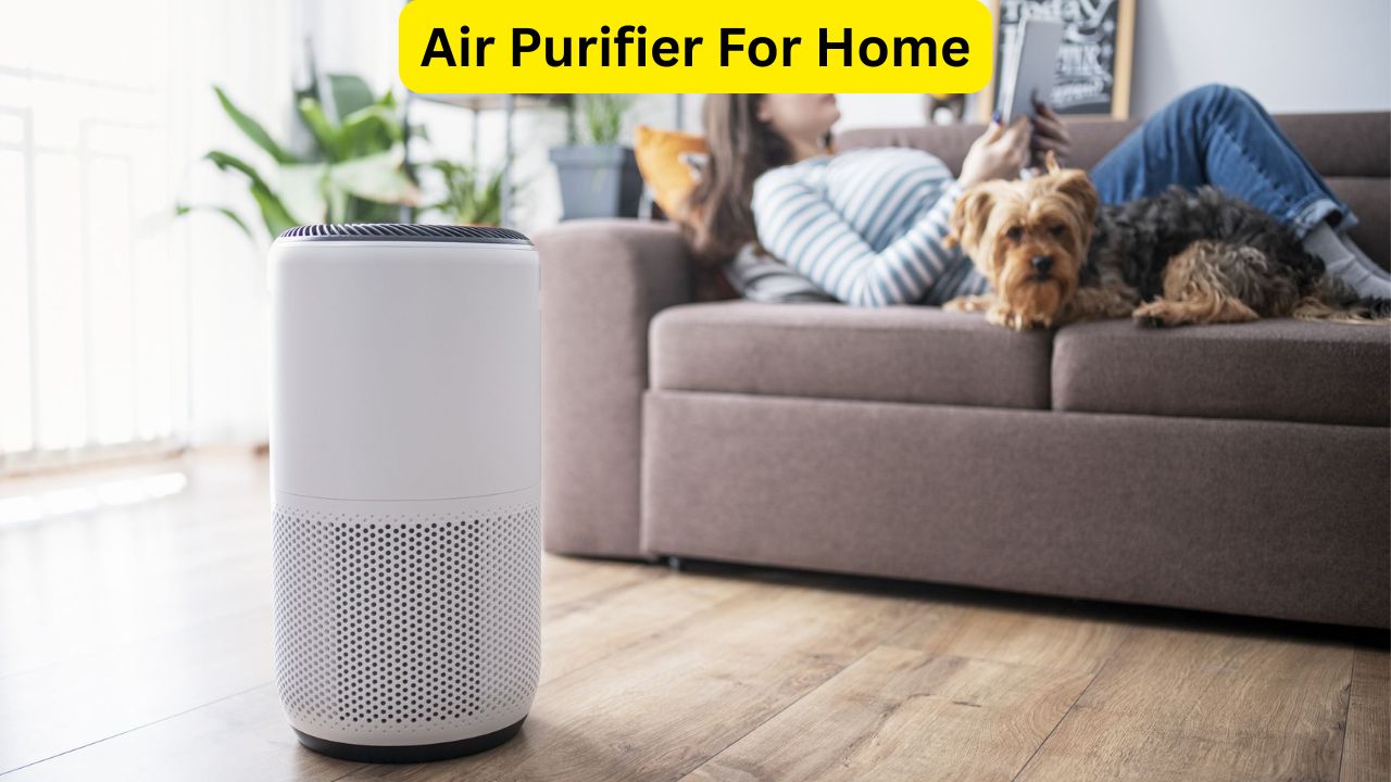 Air Purifier For Home