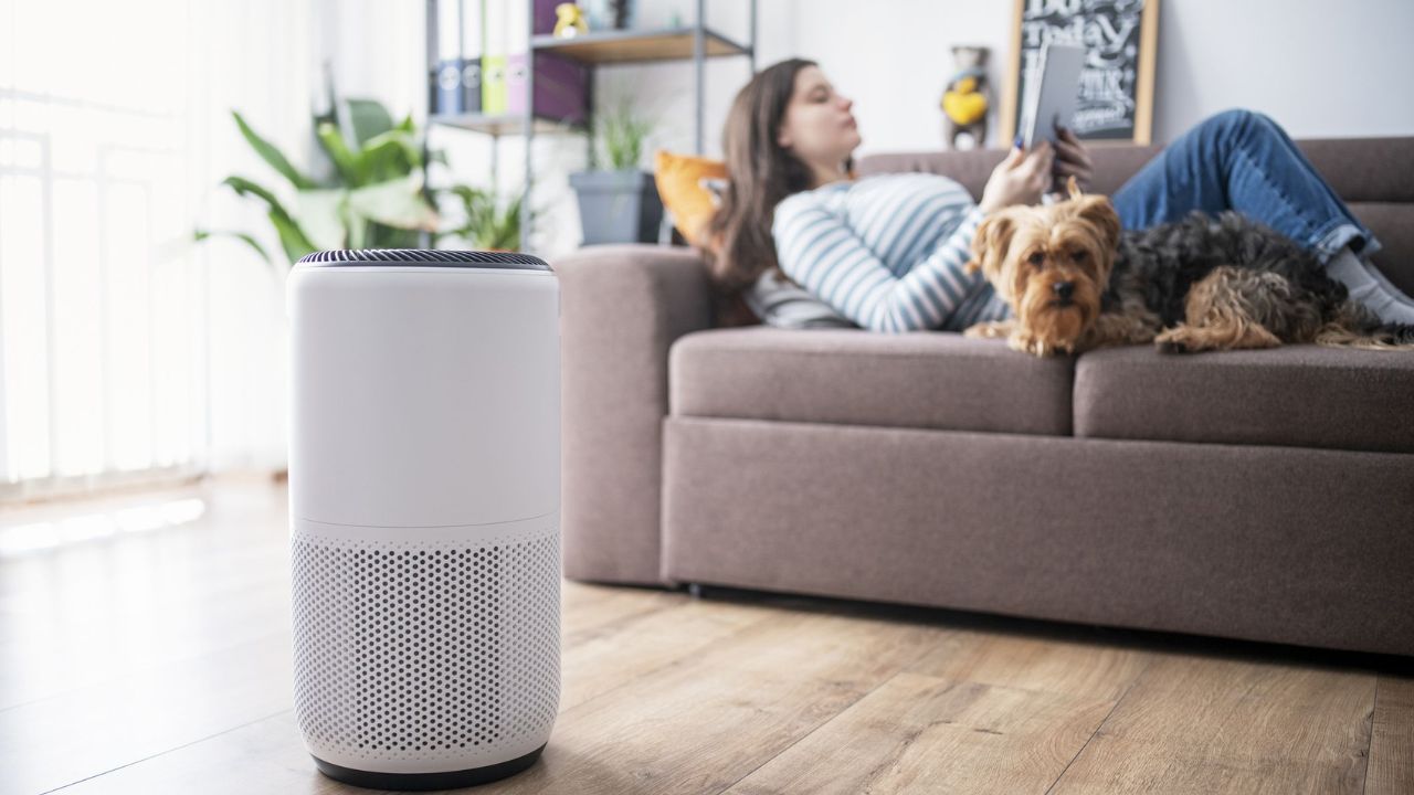 Air Purifier For Home