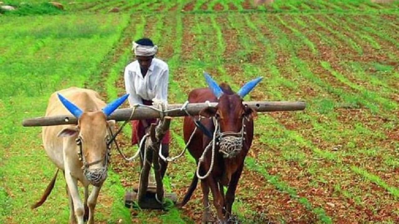 How To Link PM-Kisan And Aadhaar