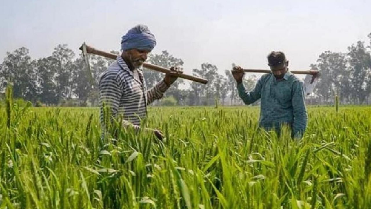 How To Link PM-Kisan And Aadhaar