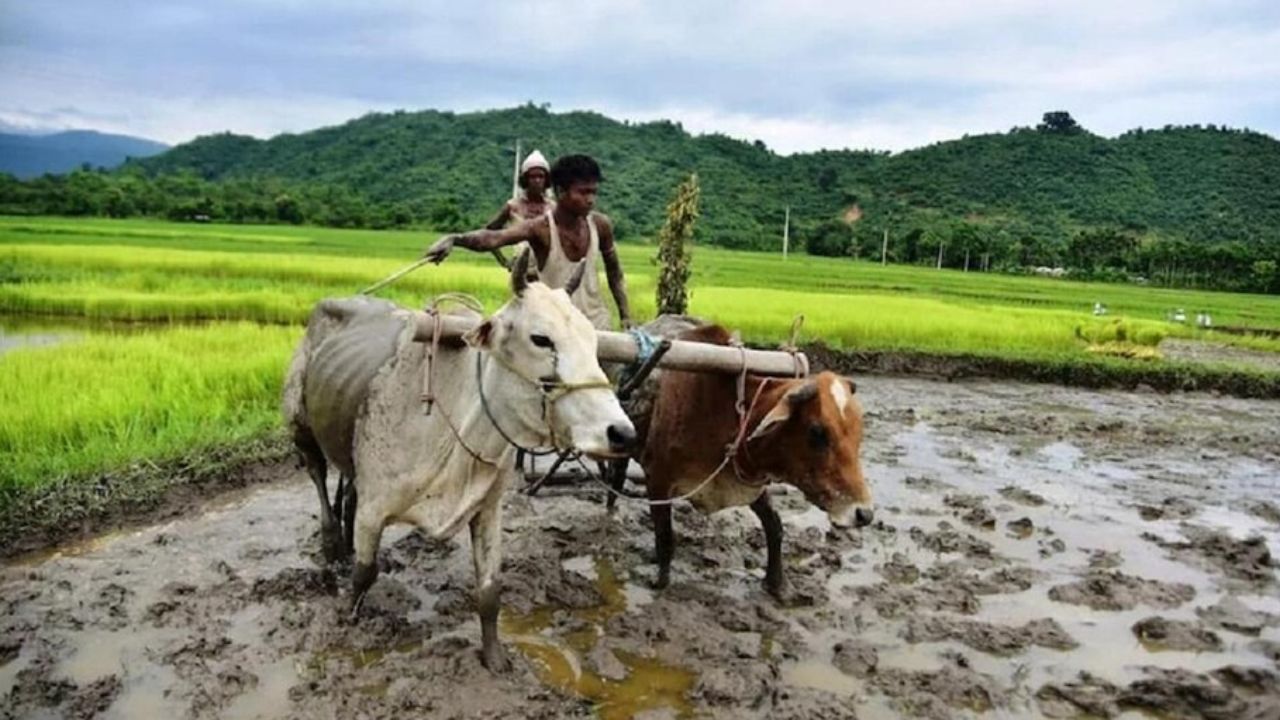 How To Link PM-Kisan And Aadhaar